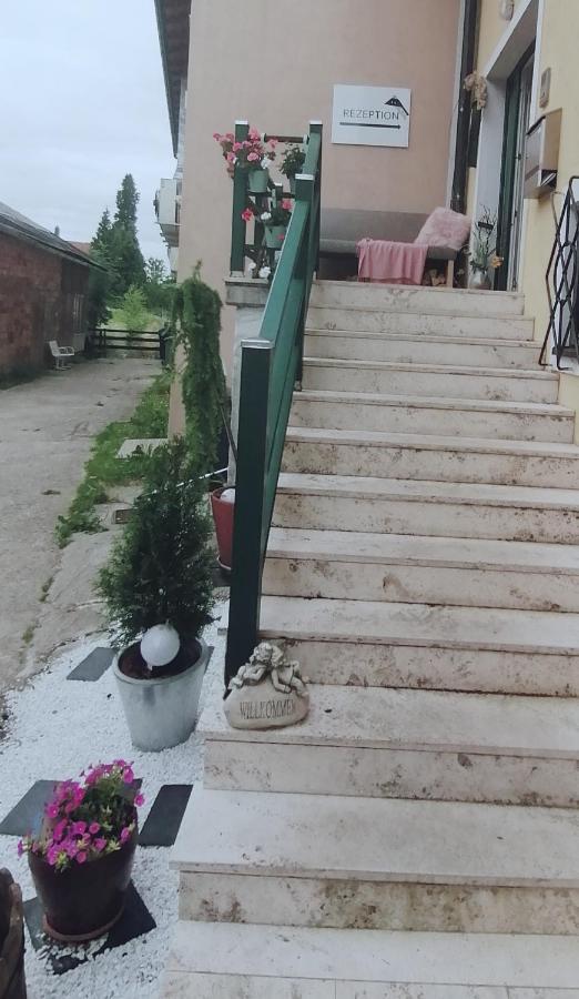 Taferne In Koestendorf - Ferienwohnung Monteurzimmer Neumarkt am Wallersee Esterno foto